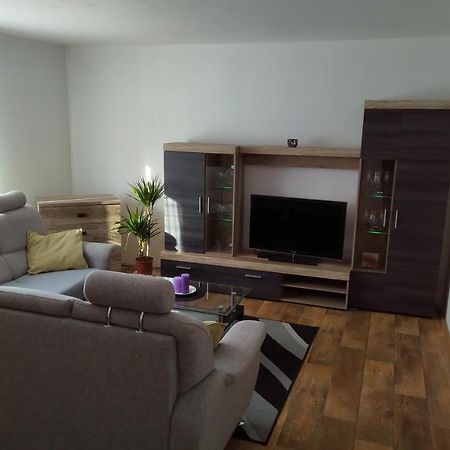 דירות Rokytnice v Orlických Horách Apartman Pod Rickami מראה חיצוני תמונה