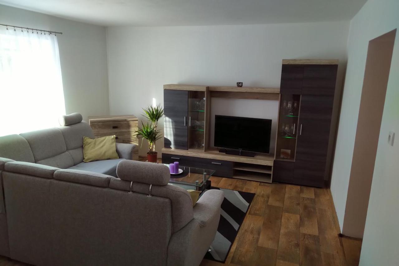 דירות Rokytnice v Orlických Horách Apartman Pod Rickami מראה חיצוני תמונה
