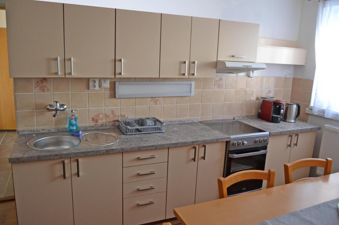 דירות Rokytnice v Orlických Horách Apartman Pod Rickami מראה חיצוני תמונה