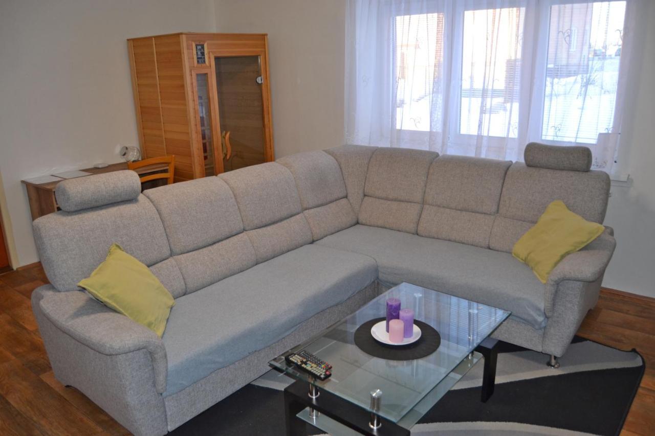 דירות Rokytnice v Orlických Horách Apartman Pod Rickami מראה חיצוני תמונה
