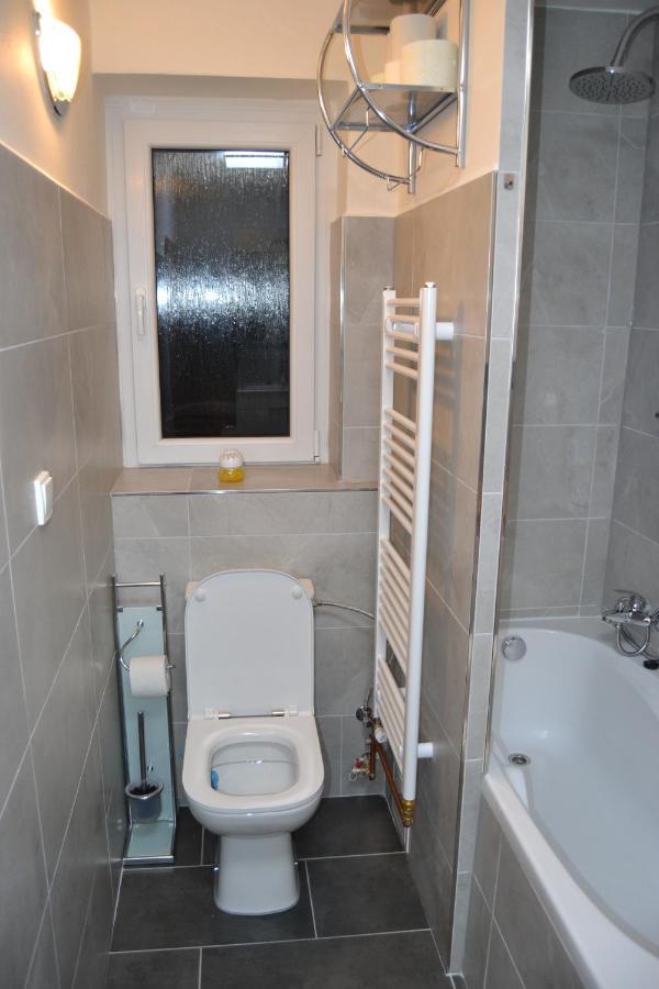 דירות Rokytnice v Orlických Horách Apartman Pod Rickami מראה חיצוני תמונה